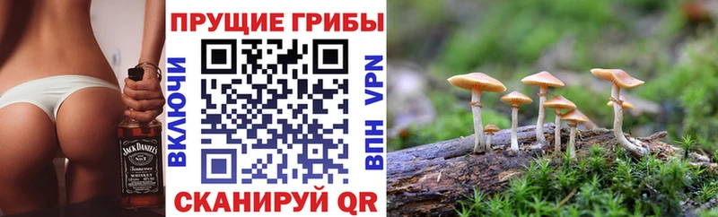 Галлюциногенные грибы GOLDEN TEACHER гидра tor Нефтегорск хочу наркоту